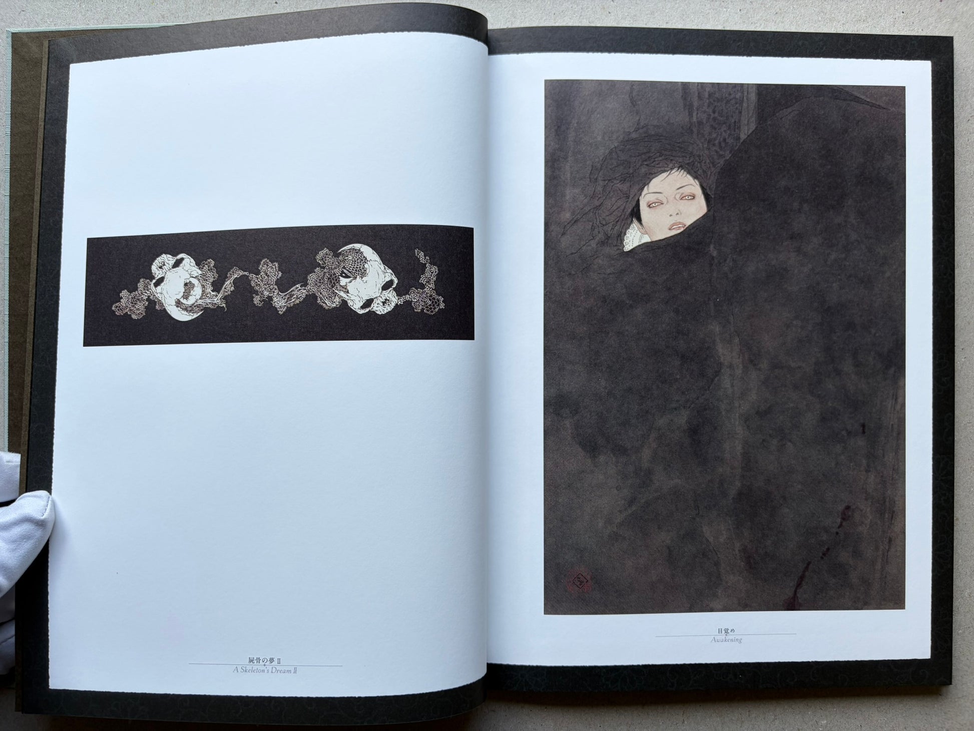 Rib of a Hermaphrodite by Takato Yamamoto, interior spread with two illustrated pages and captions beneath the images.