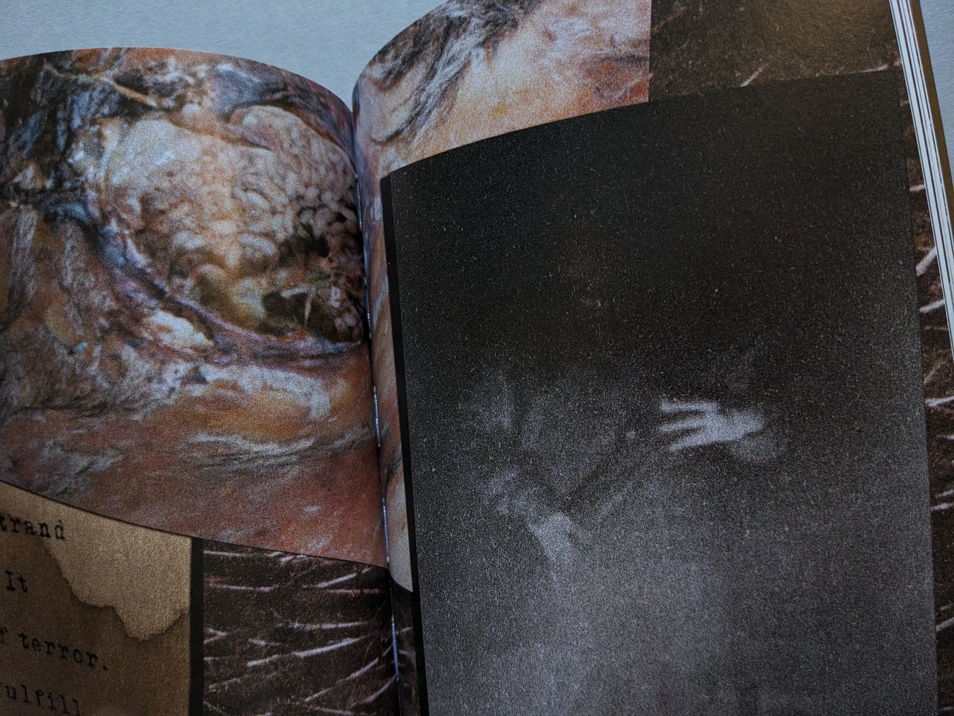 Spread with a blurred black-and-white photograph on the right and close-up organic textures on the left