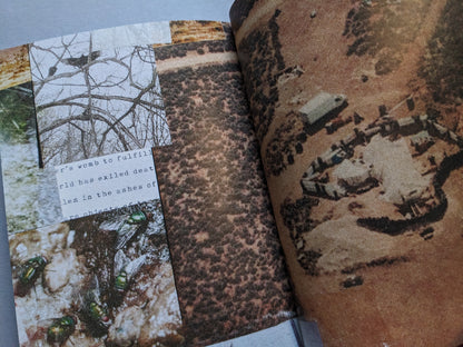 Collage spread from Sacra featuring a blurred aerial photograph of a circular desert settlement on the right, and fragmented images on the left including green flies on decay, bare tree branches, and typed text mentioning death and ashes.