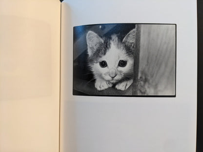 Masahisa Fukase “Sasuke” — close-up of a kitten; black-and-white spread, Akaaka Art Publishing (2021).