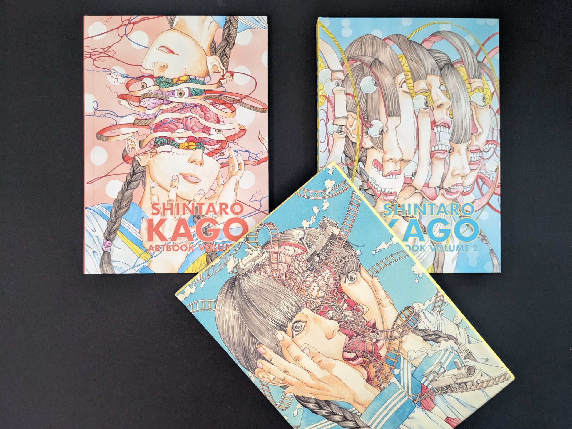 Shintaro Kago Artbook box set with hardcover volumes shown together, cover views