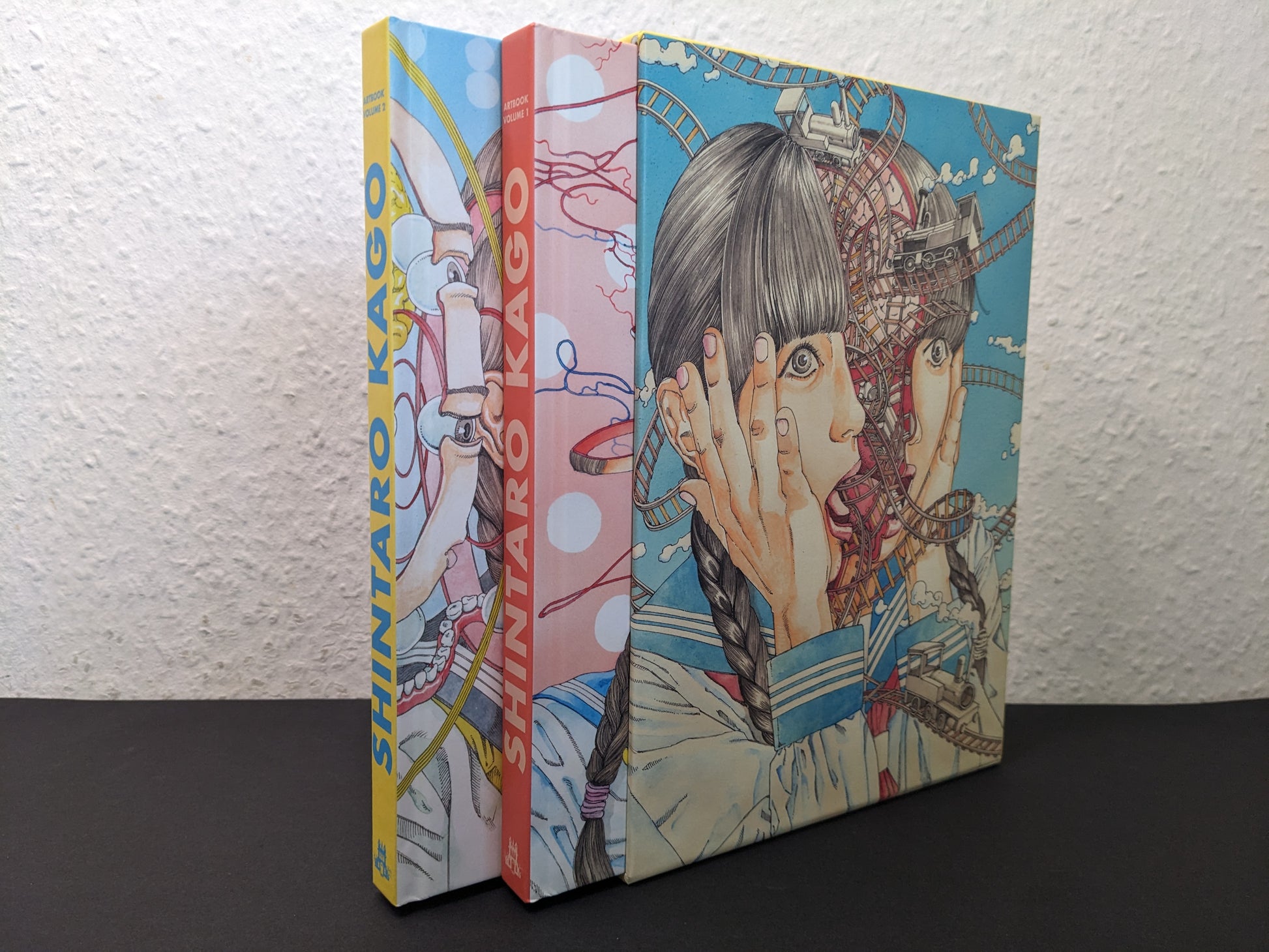 Shintaro Kago Artbook box set hardcovers standing side by side, spine and cover view