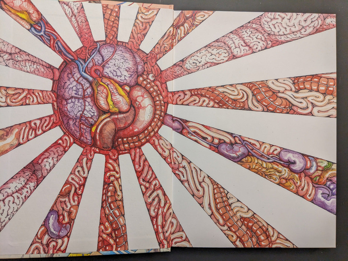 Interior colour plate with a radial anatomical sunburst made of organs and body forms.