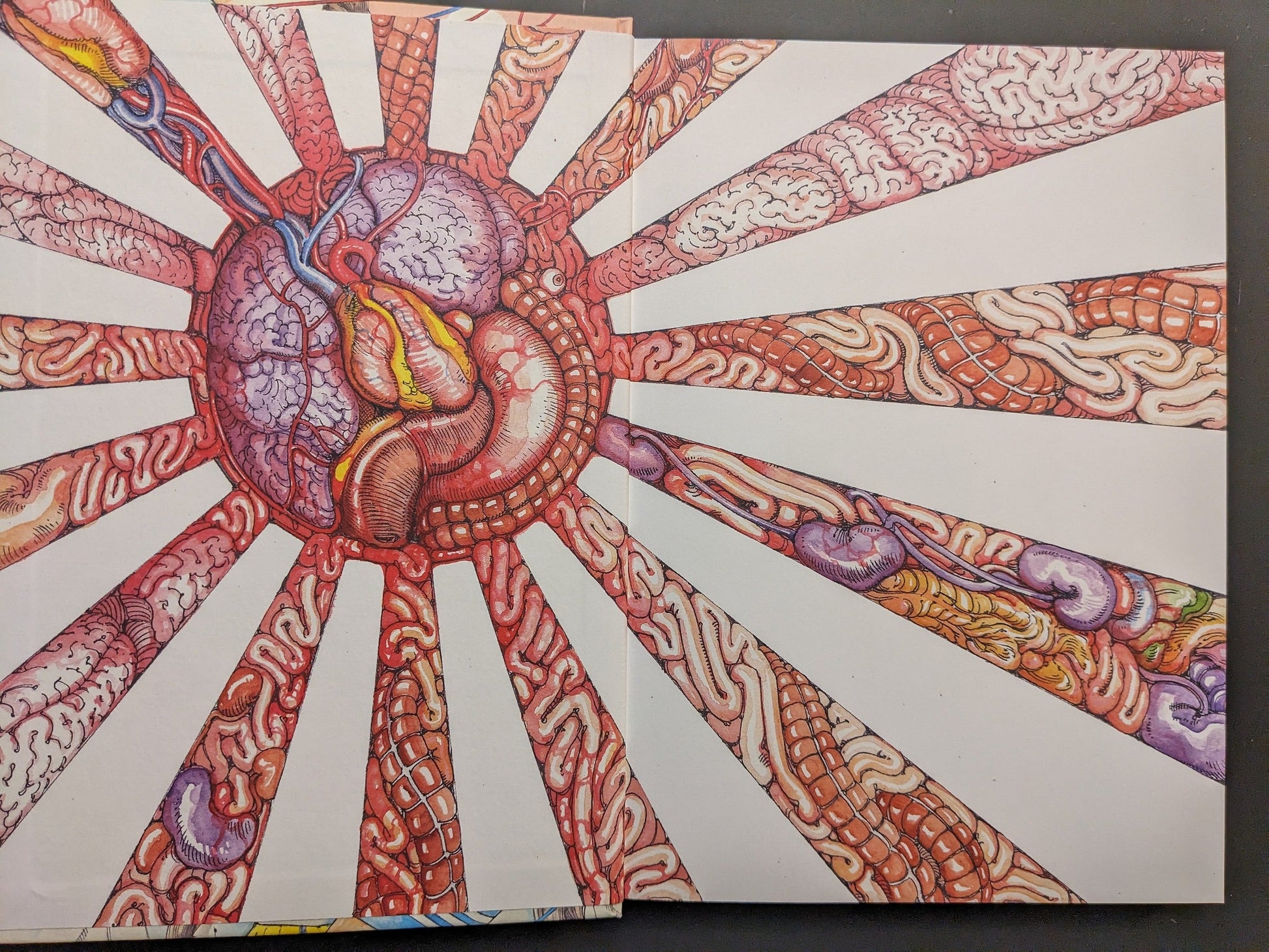 Interior colour plate with a radial anatomical sunburst made of organs and body forms.