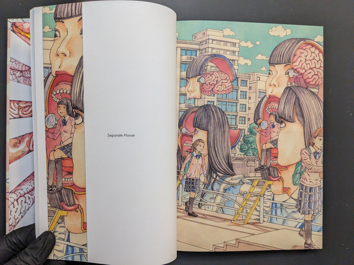 Interior spread: city scene with schoolgirls and open head motifs; caption “Separate House.”
