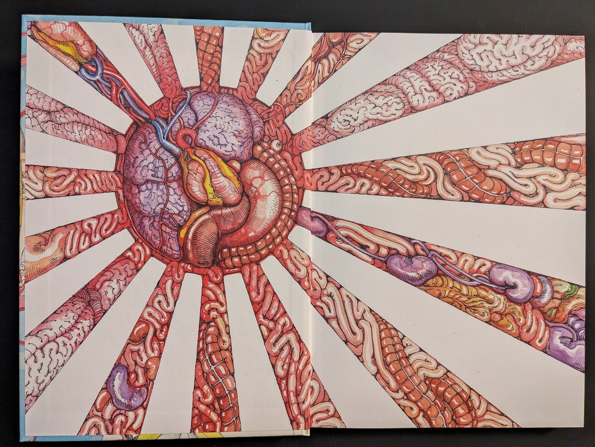 Endpaper spread with a red sunburst formed from organs.