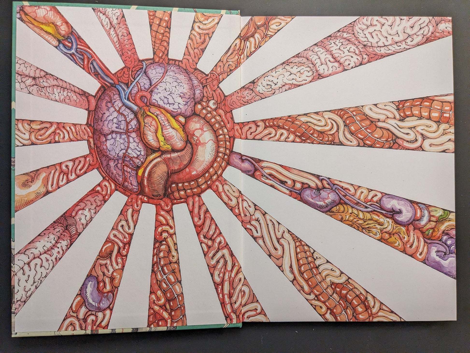 Endpaper illustration with a rising-sun design formed from organs and tissue.