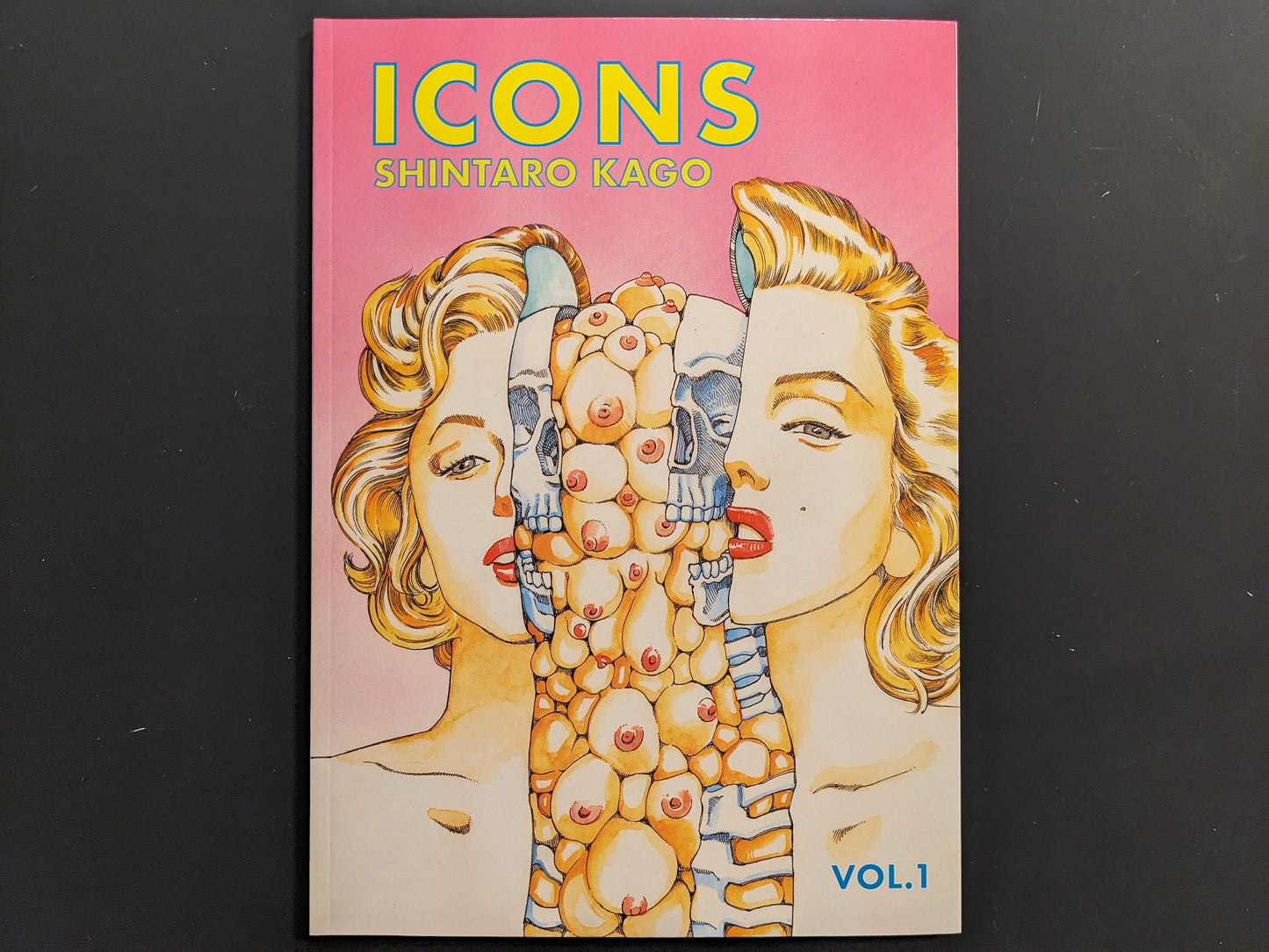 Front cover of “ICONS Vol.1” by Shintaro Kago, pop-surreal portrait collage, The Mansion Press.