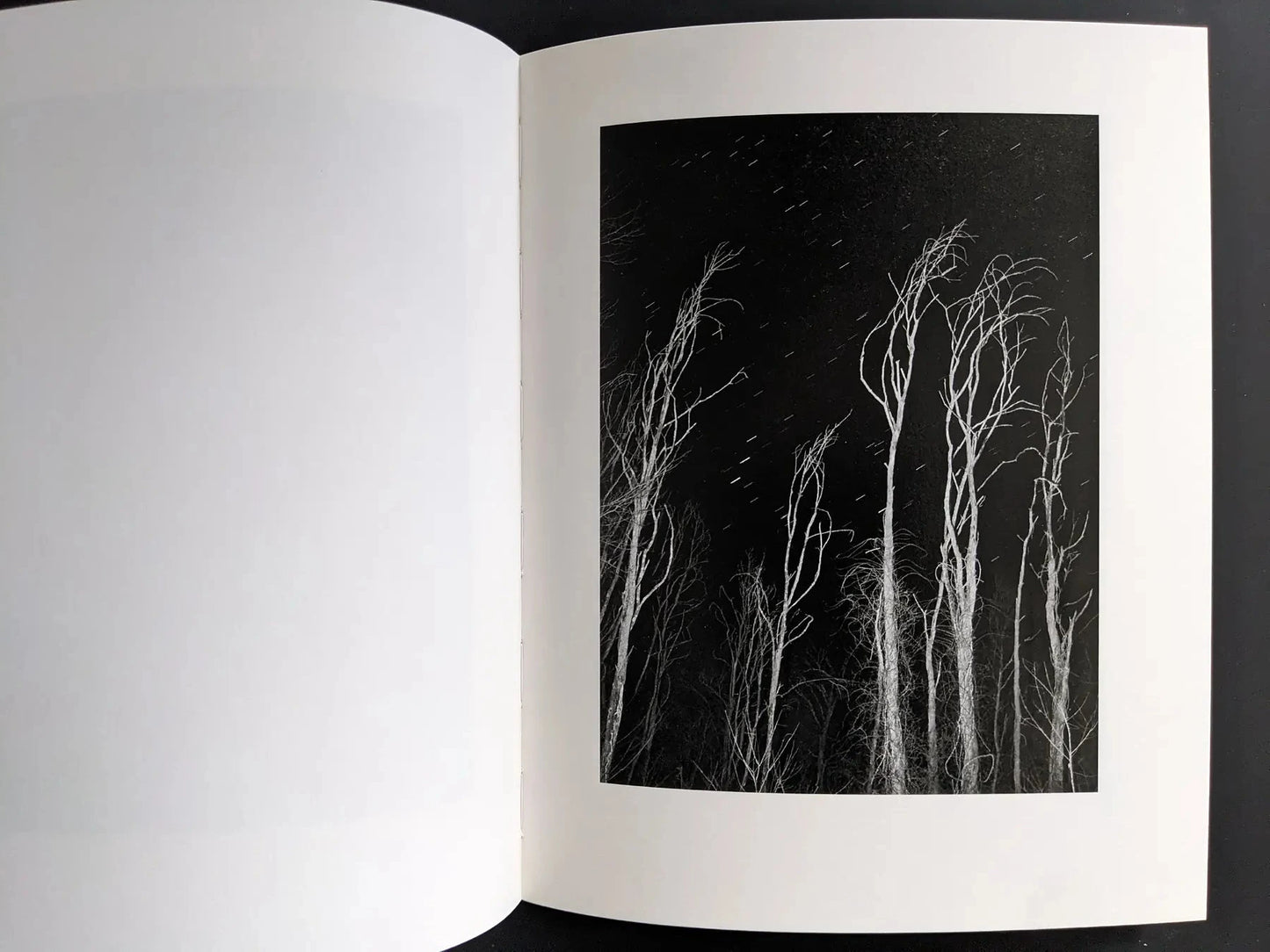 Black-and-white spread with bare trees against a night sky and star traces.