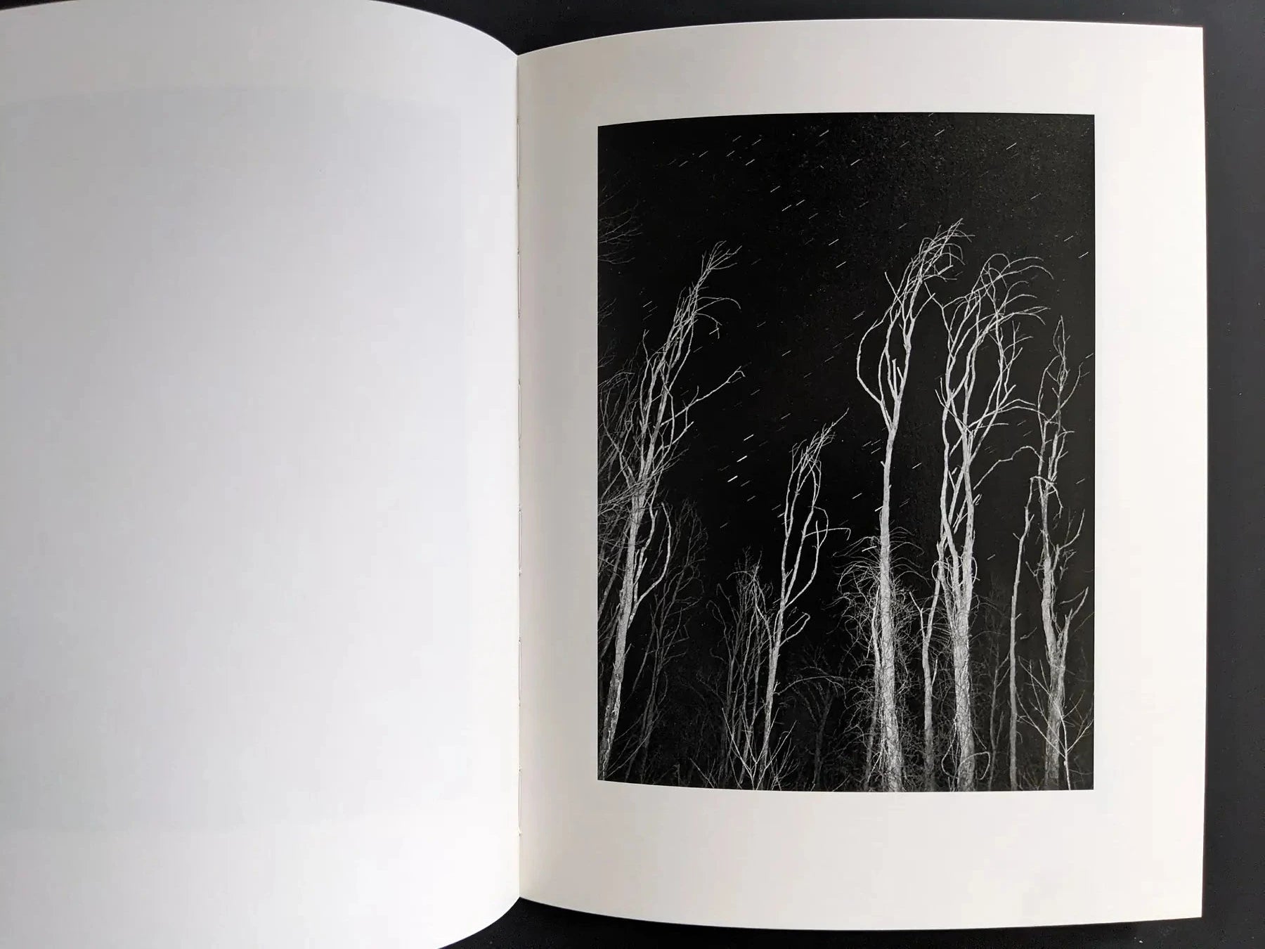 Black-and-white spread with bare trees against a night sky and star traces.