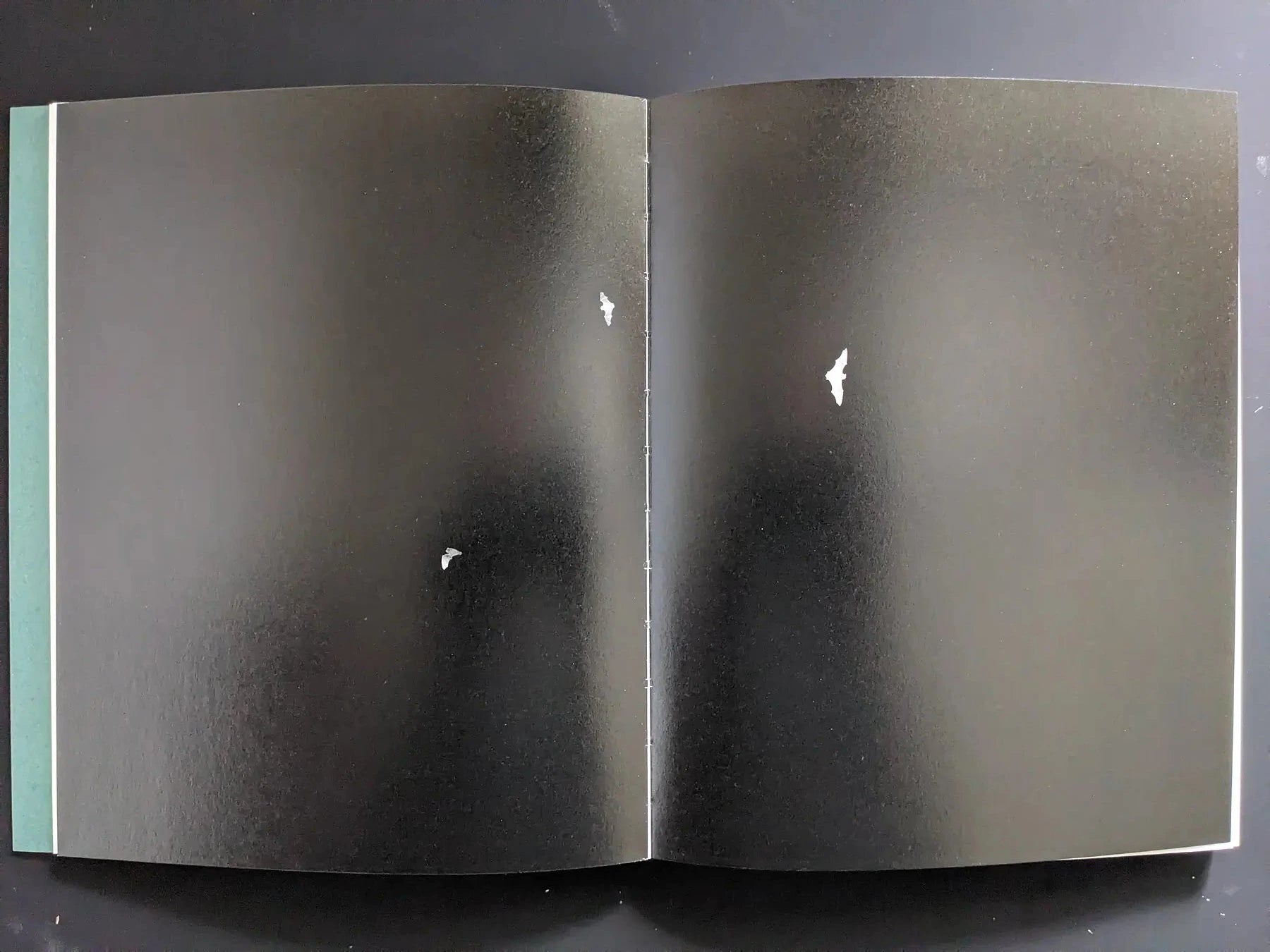 Black double-page spread with a few small white motifs on the dark pages.