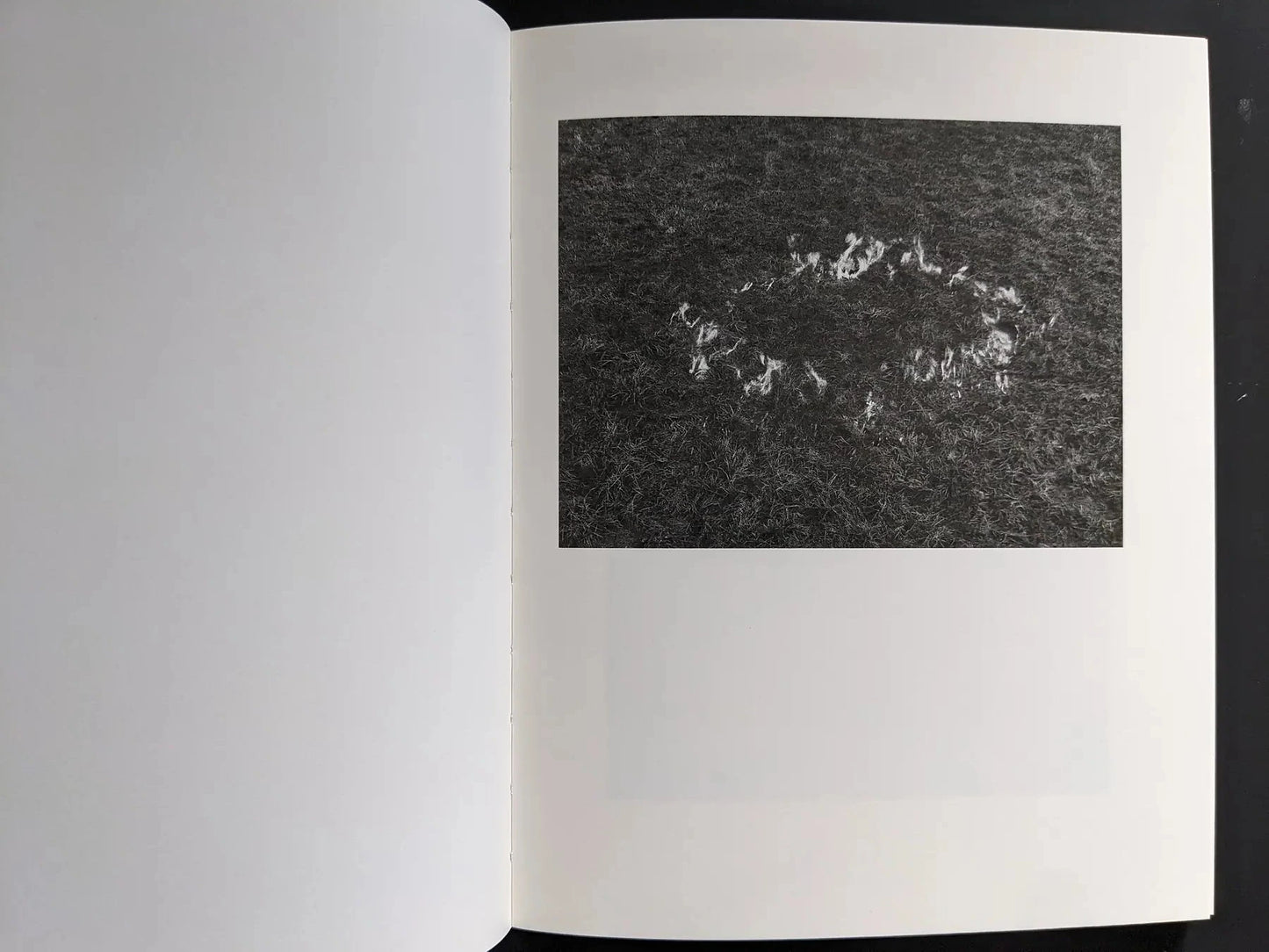 Monochrome plate showing a ring of flames on grass.
