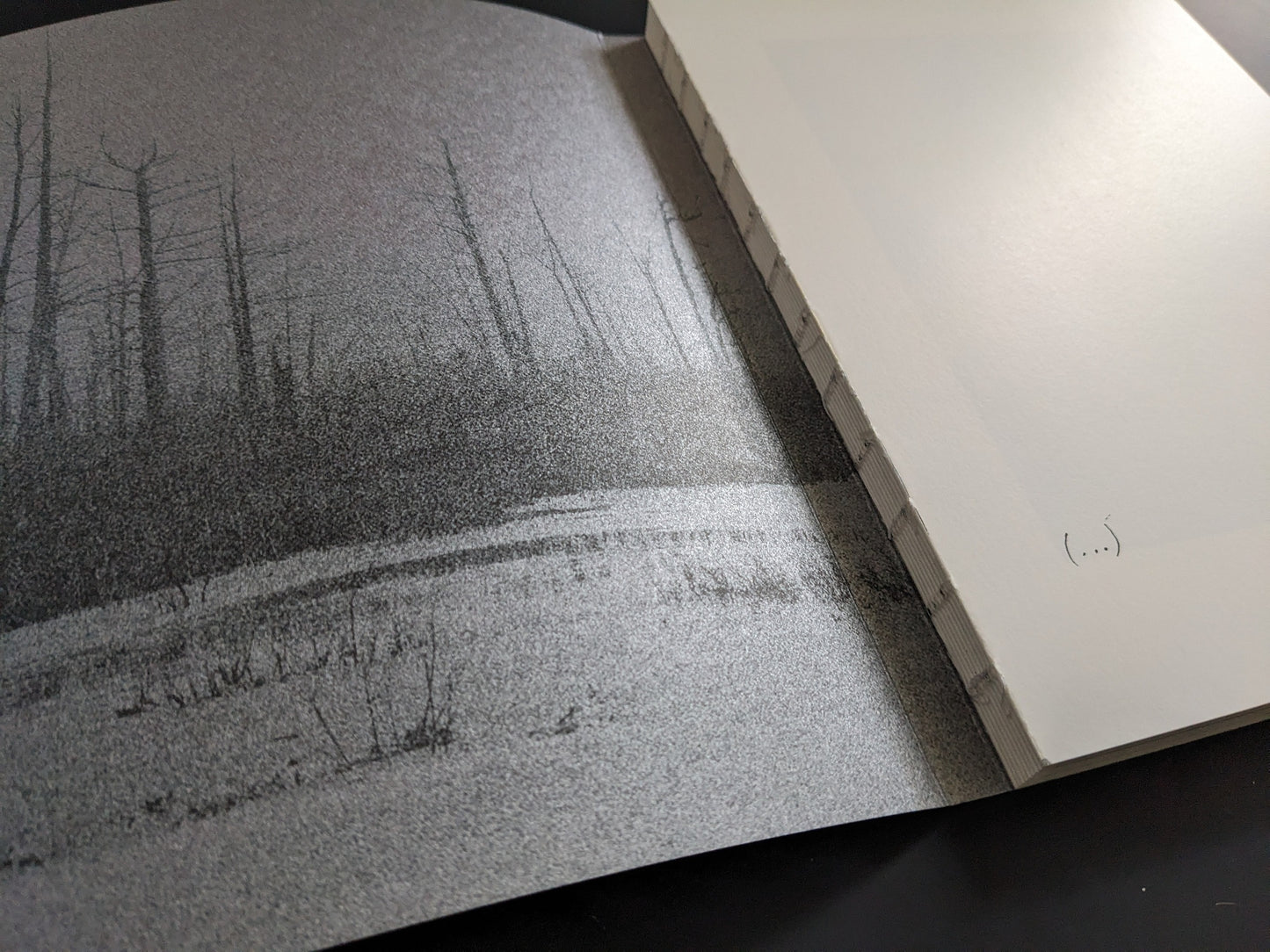 Open-spine softcover binding detail of “Sleep Creek,” Void.