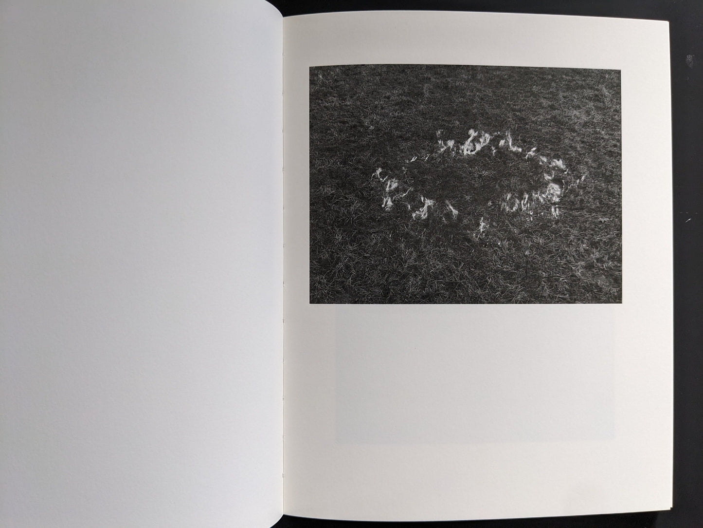 Interior spread: textured forest floor with circular trace — “Sleep Creek,” Void.