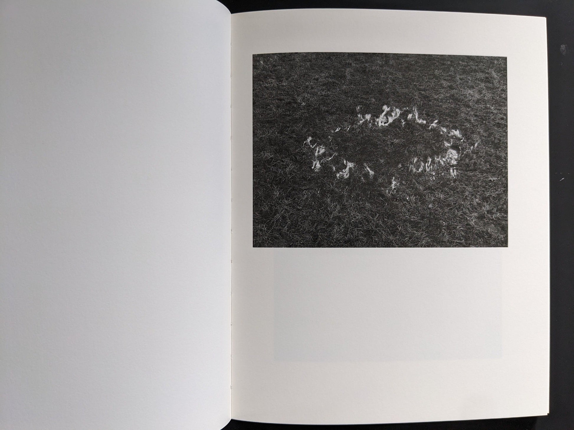 Interior spread: textured forest floor with circular trace — “Sleep Creek,” Void.