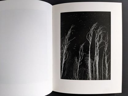 Interior spread showing trees at night — mythic landscape in “Sleep Creek.”