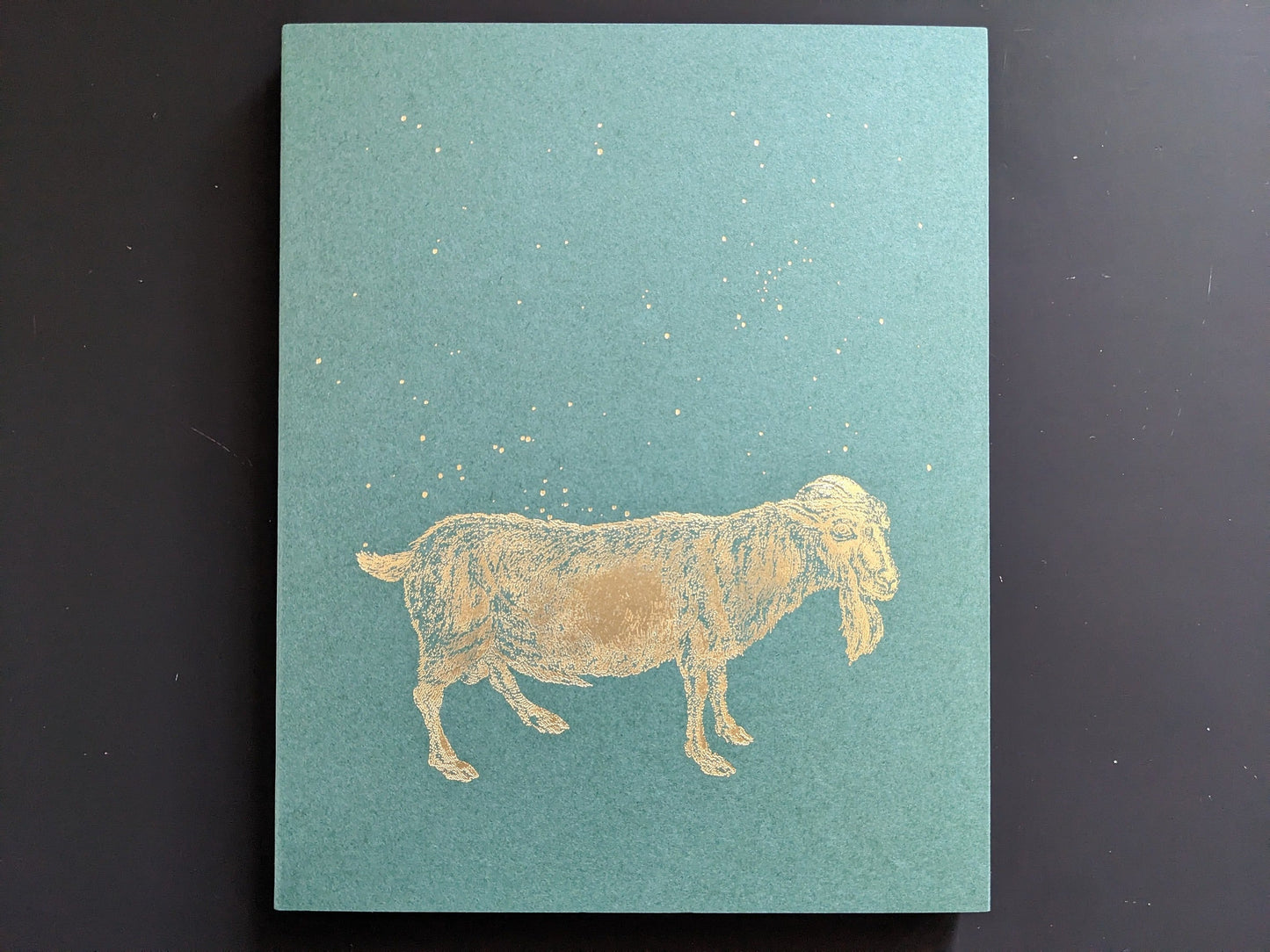 “Sleep Creek” cover — gold-foil illustration; New England photobook by Dylan Hausthor & Paul Guilmoth, Void.