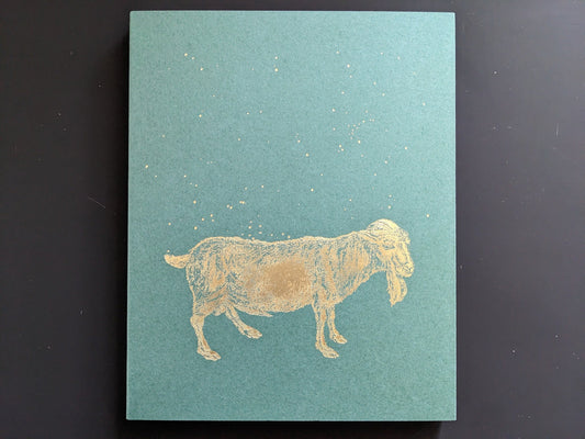 “Sleep Creek” cover — gold-foil illustration; New England photobook by Dylan Hausthor & Paul Guilmoth, Void.