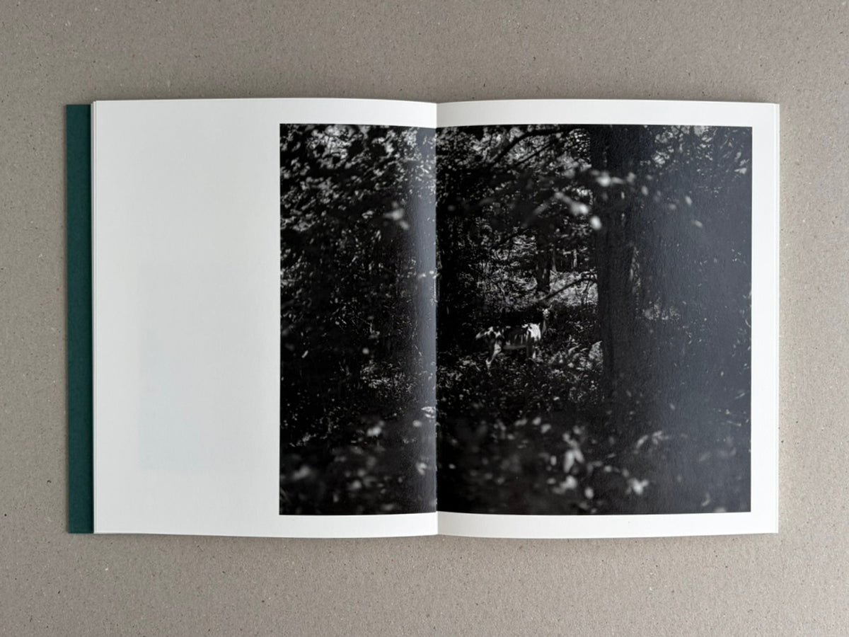 Open spread of Sleep Creek by Dylan Hausthor and Pia Paulina Guilmoth, showing a black-and-white forest photograph across the right-hand pages.