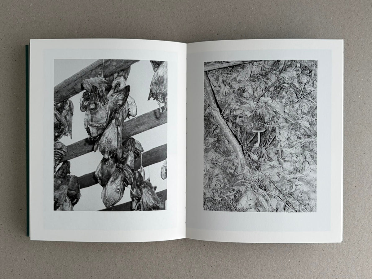 Open Sleep Creek spread with two black-and-white photographs: hanging fish on the left page and dense leaves with a small mushroom on the right.