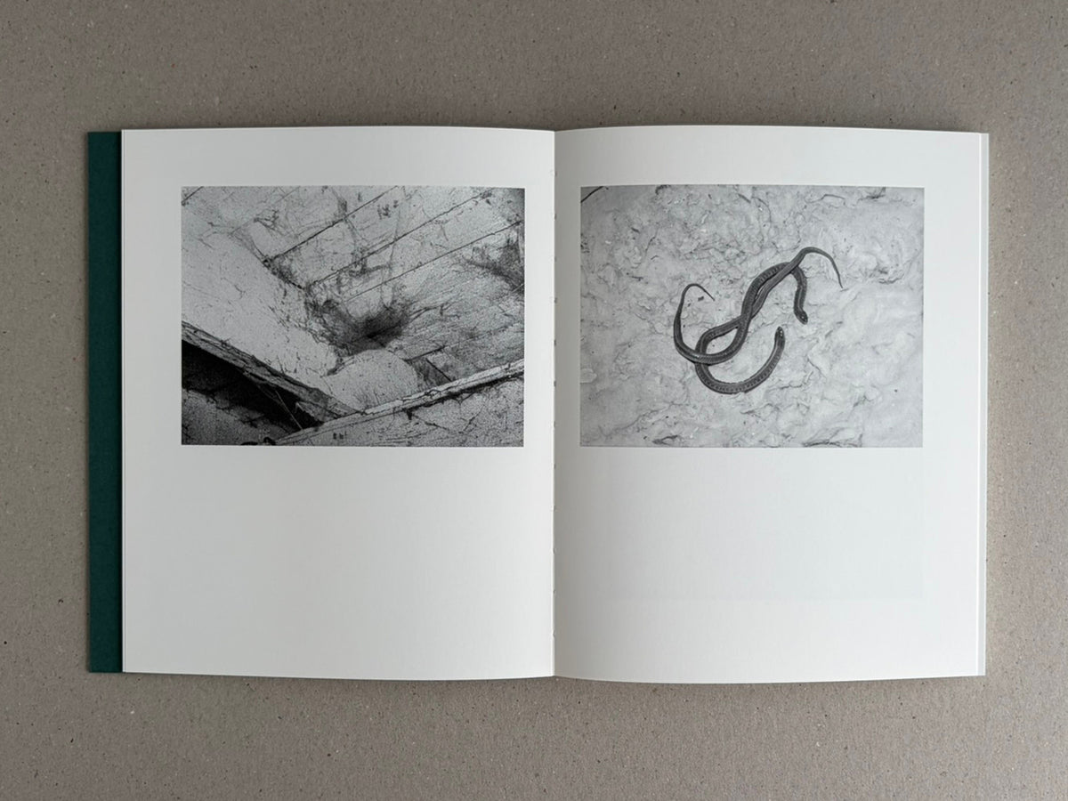 Open Sleep Creek photobook showing a two-page black-and-white spread, with a textured landscape image on the left and two snakes on the right.