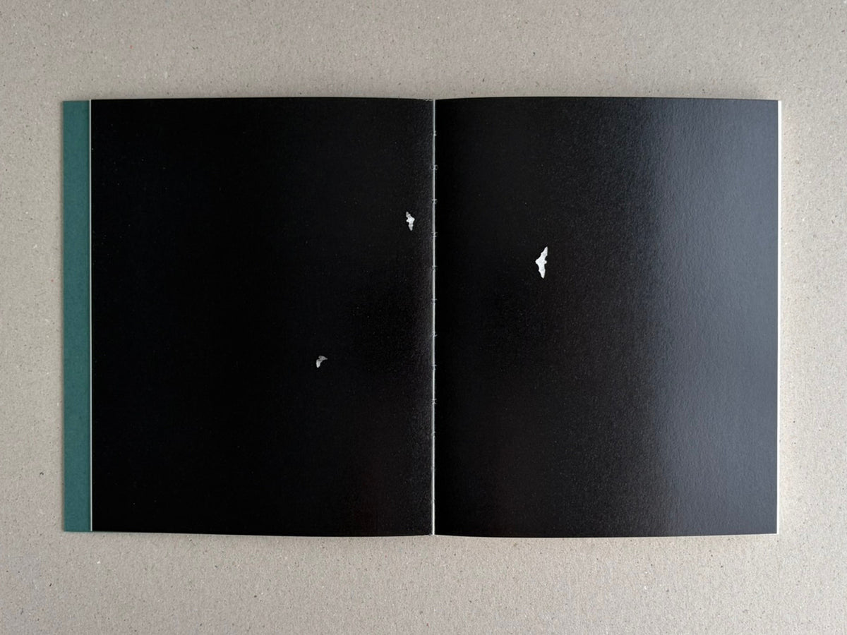 Open spread from Sleep Creek by Dylan Hausthor & Pia Paulina Guilmoth, showing two dark pages with small white marks and a teal spine at left.