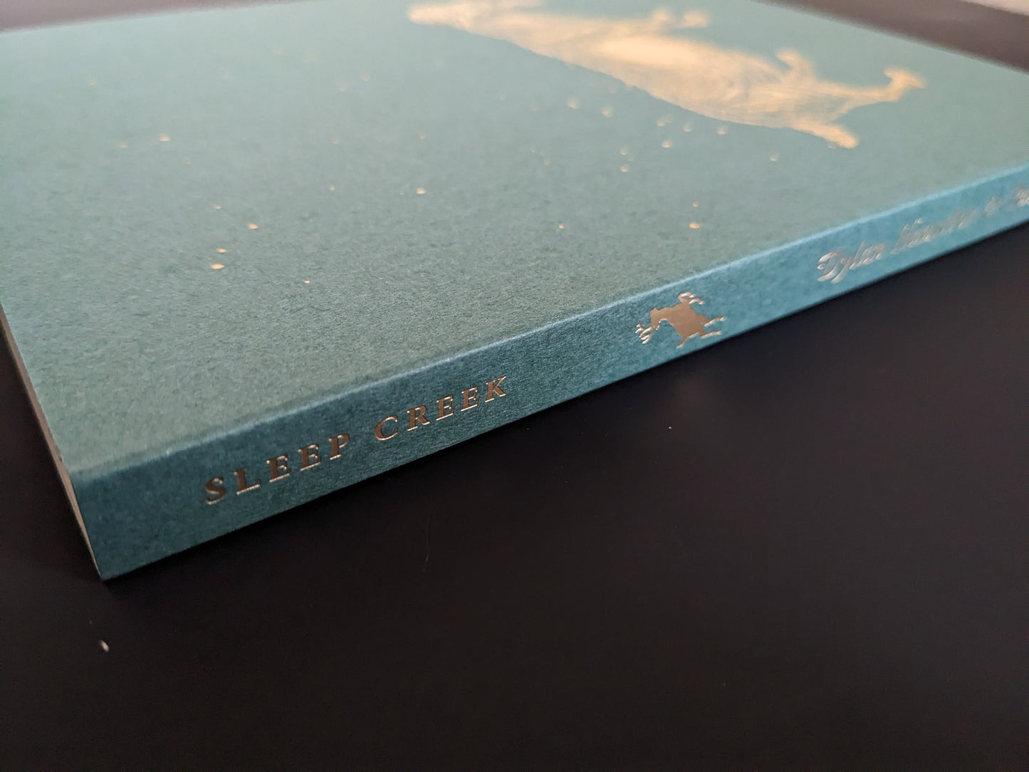 Book spine with gold-foil title “SLEEP CREEK” (Void open-spine softcover).