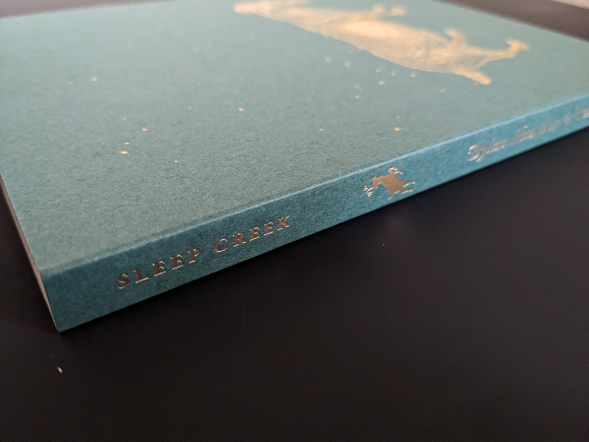 Book spine with gold-foil title “SLEEP CREEK” (Void open-spine softcover).