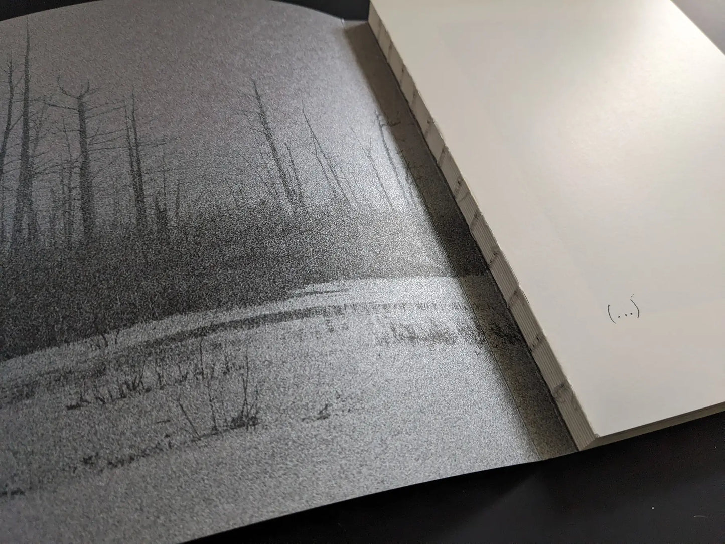 Close view of the exposed thread-sewn binding and textured endpaper at the gutter.