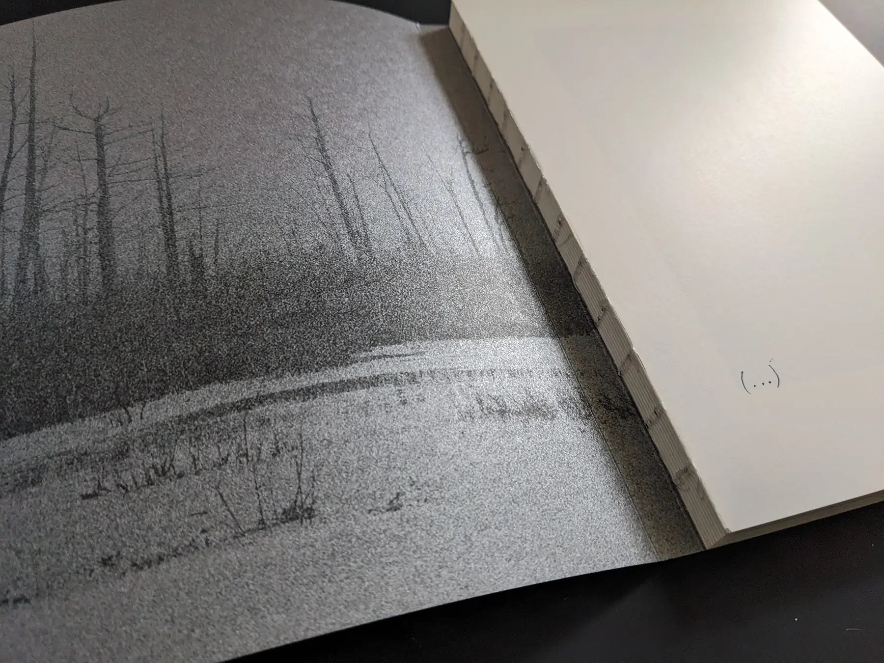 Close view of the exposed thread-sewn binding and textured endpaper at the gutter.