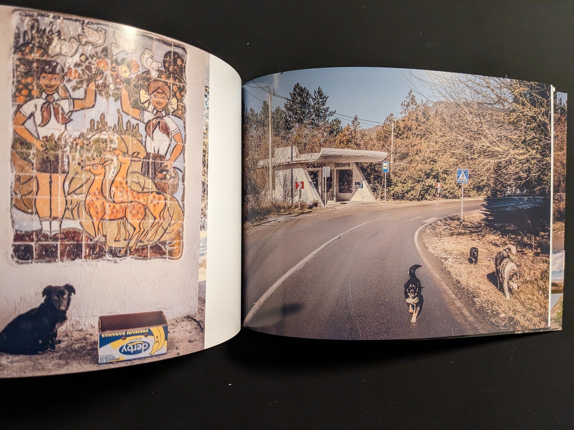 Interior spread with dogs on a bend near a roadside shelter and a children-themed ceramic mural on the facing page.