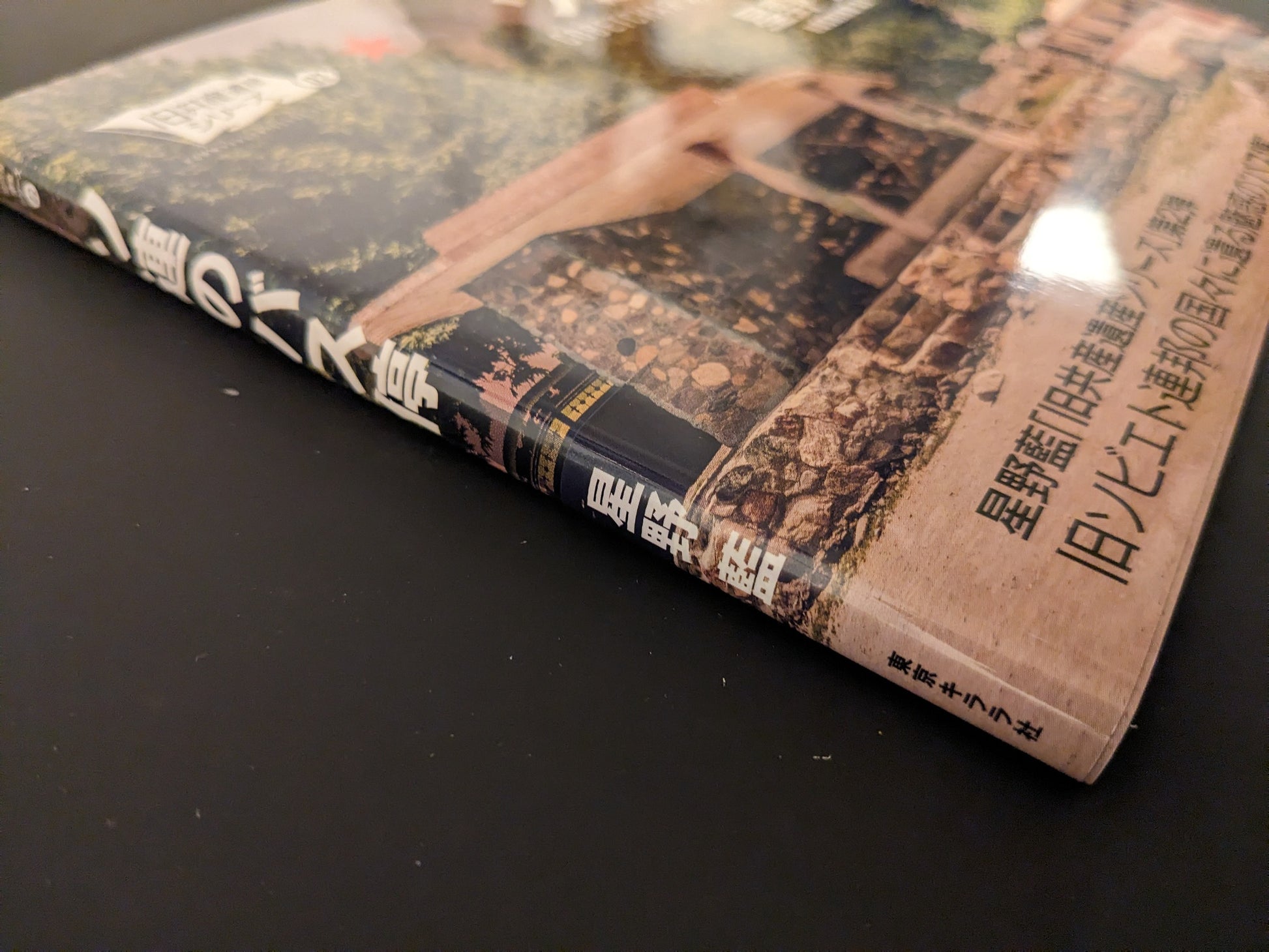 Spine and wrap detail of Ai Hoshino’s Soviet Architectural Design softcover published by Tokyo Kirara.