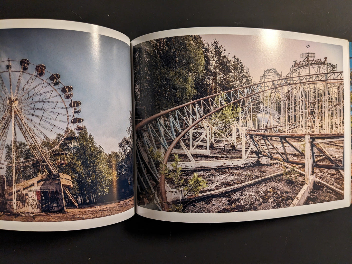 Interior spread: overgrown roller coaster and ferris wheel in a deserted amusement park.