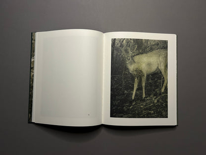 Stephen Gill - Night Procession (signed copy) - Nobody Books - Lokator100