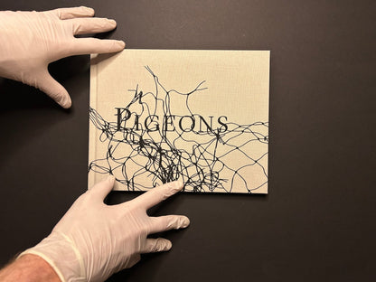 Stephen Gill – Pigeons (Signed copy) - Nobody Books - Lokator100