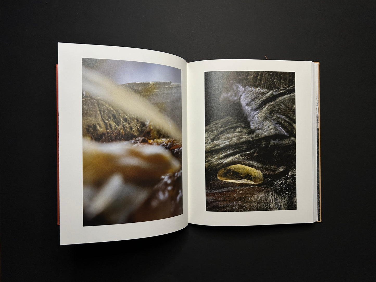 Stephen Gill - Please Notify the Sun (signed copy) - Nobody Books - Lokator100