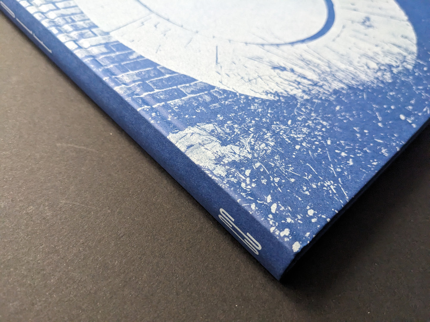 Spine detail of Sub Sole by Massao Mascaro (Chose Commune), blue hardcover with white title.