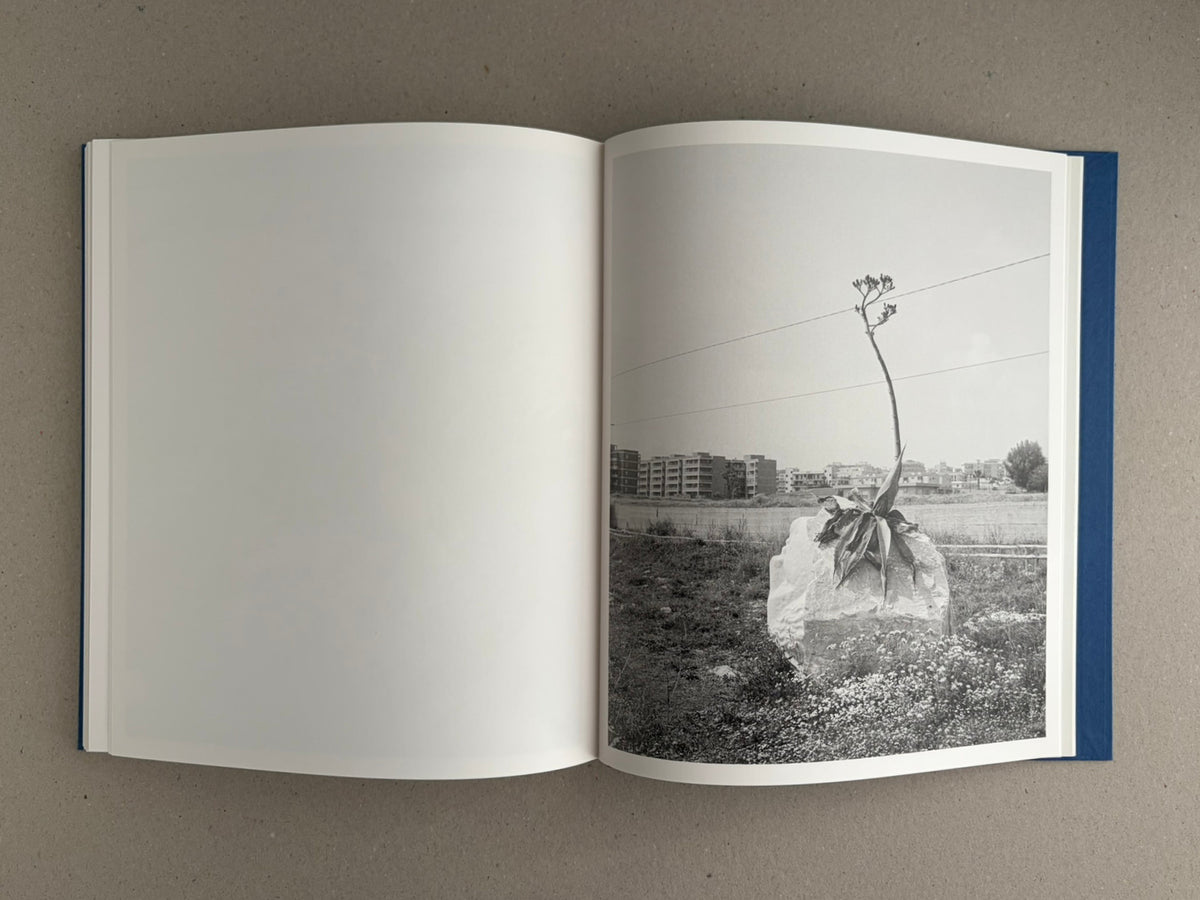 Open book spread from Sub Sole – Massao Mascaro, with a black-and-white photograph on the right page showing a plant growing from a stone in a field near low buildings.