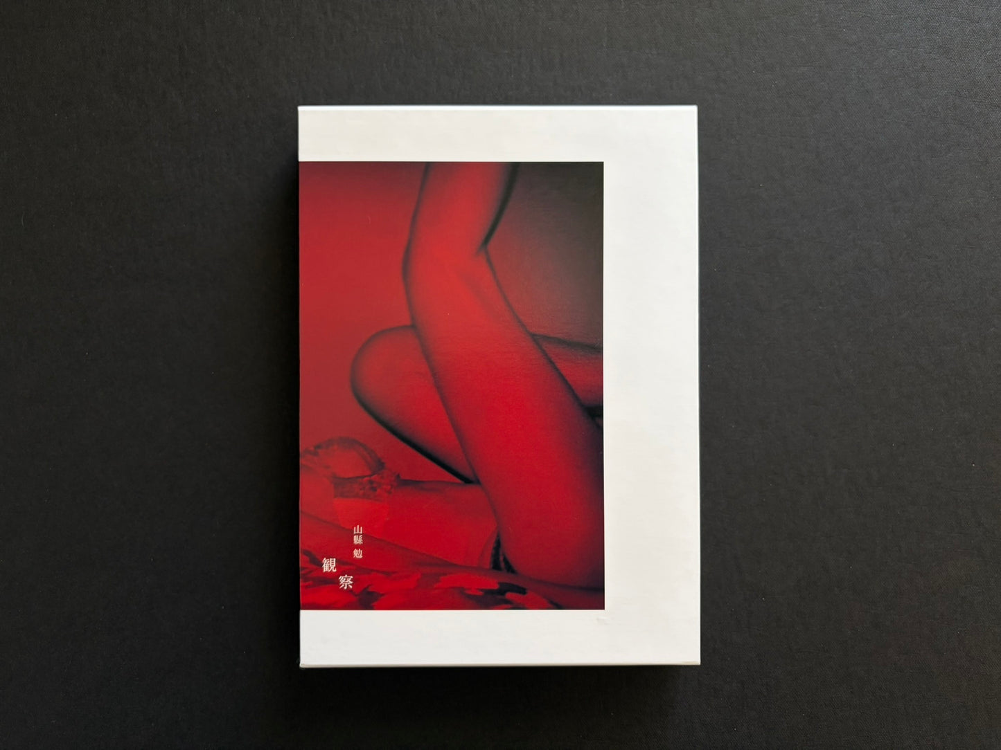 Back cover of Surveillance by Tsutomu Yamagata.