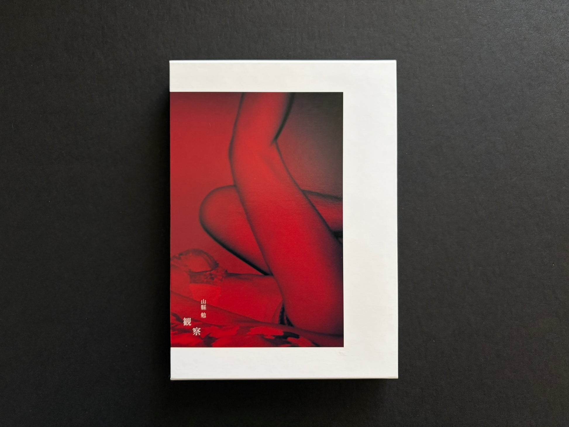 Back cover of Surveillance by Tsutomu Yamagata.