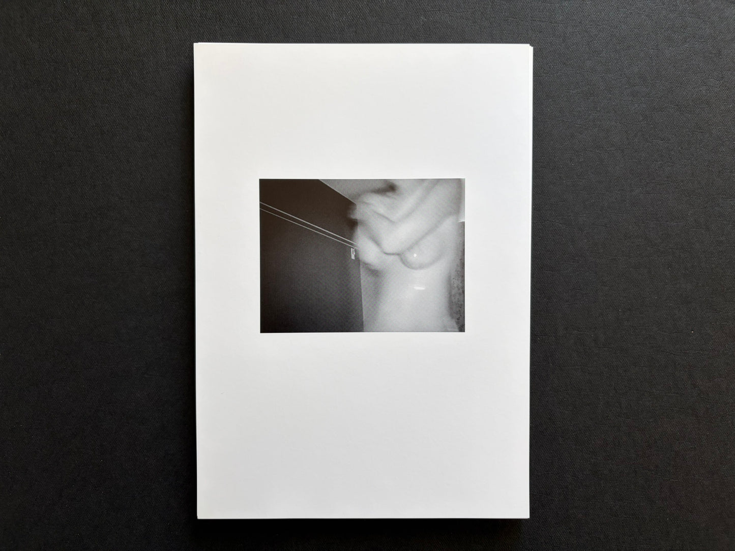 Loose photographic plate from Surveillance showing a blurred infrared figure.