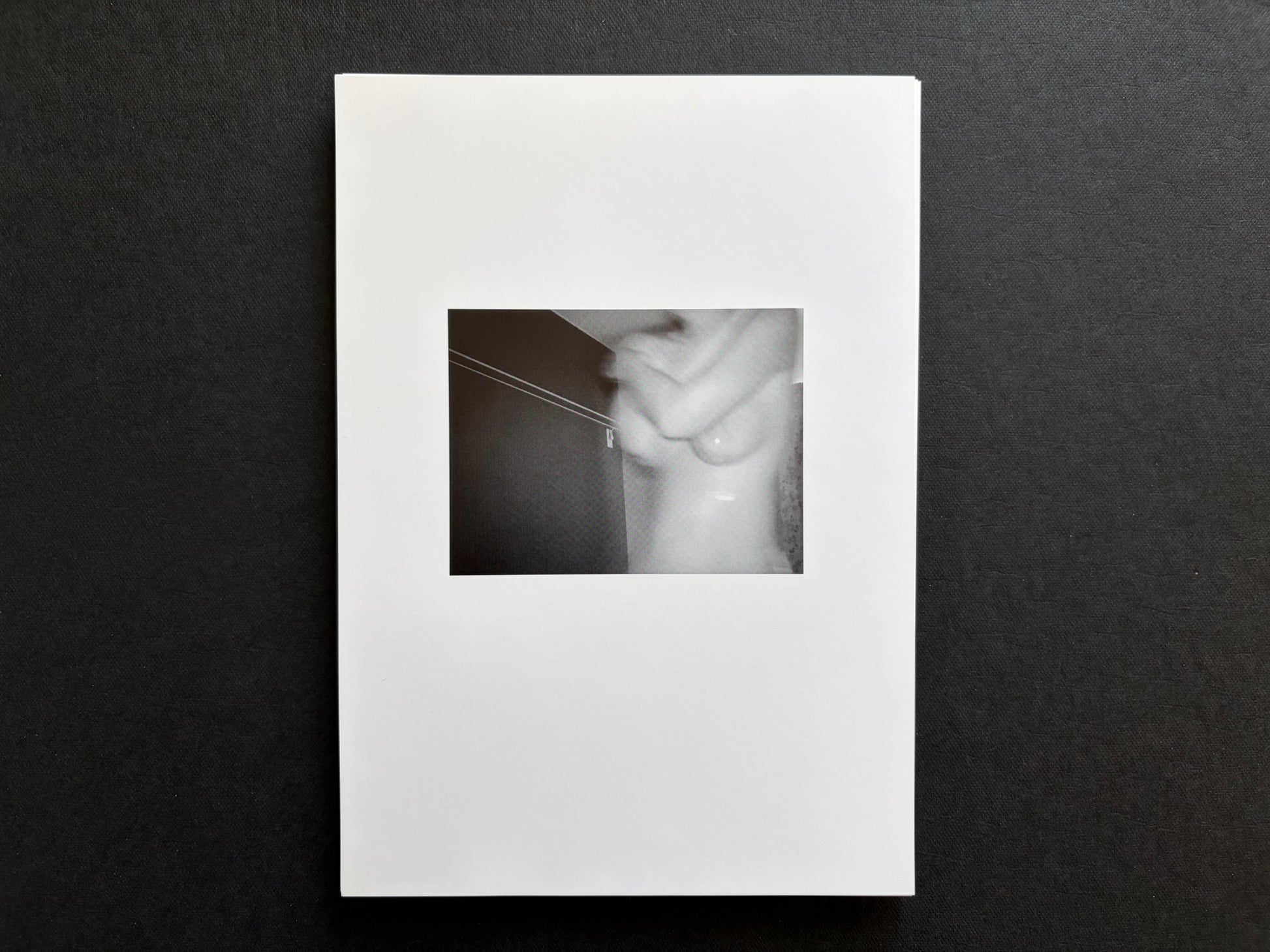 Loose photographic plate from Surveillance showing a blurred infrared figure.