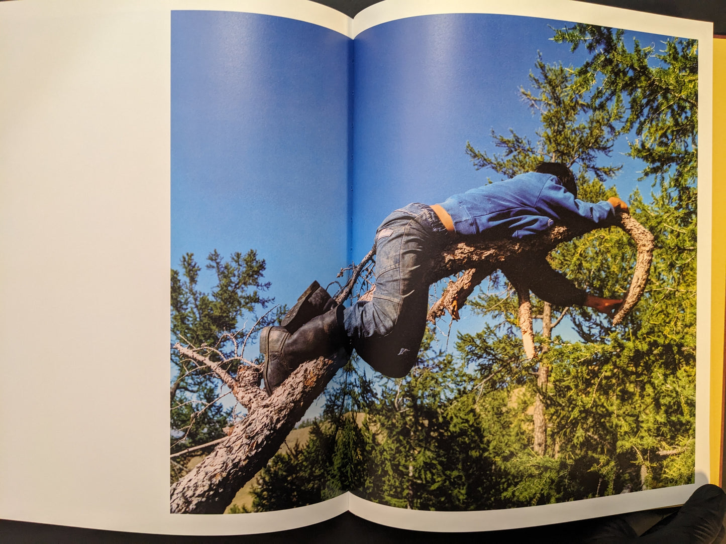 Spread showing a child lying across a tree branch against a clear blue sky and green foliage.