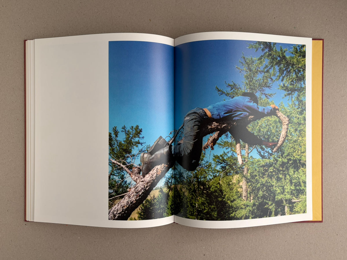 Open spread of süü – Taemin Ha, showing a full-bleed landscape photograph of a person lying across a tree branch under a blue sky.