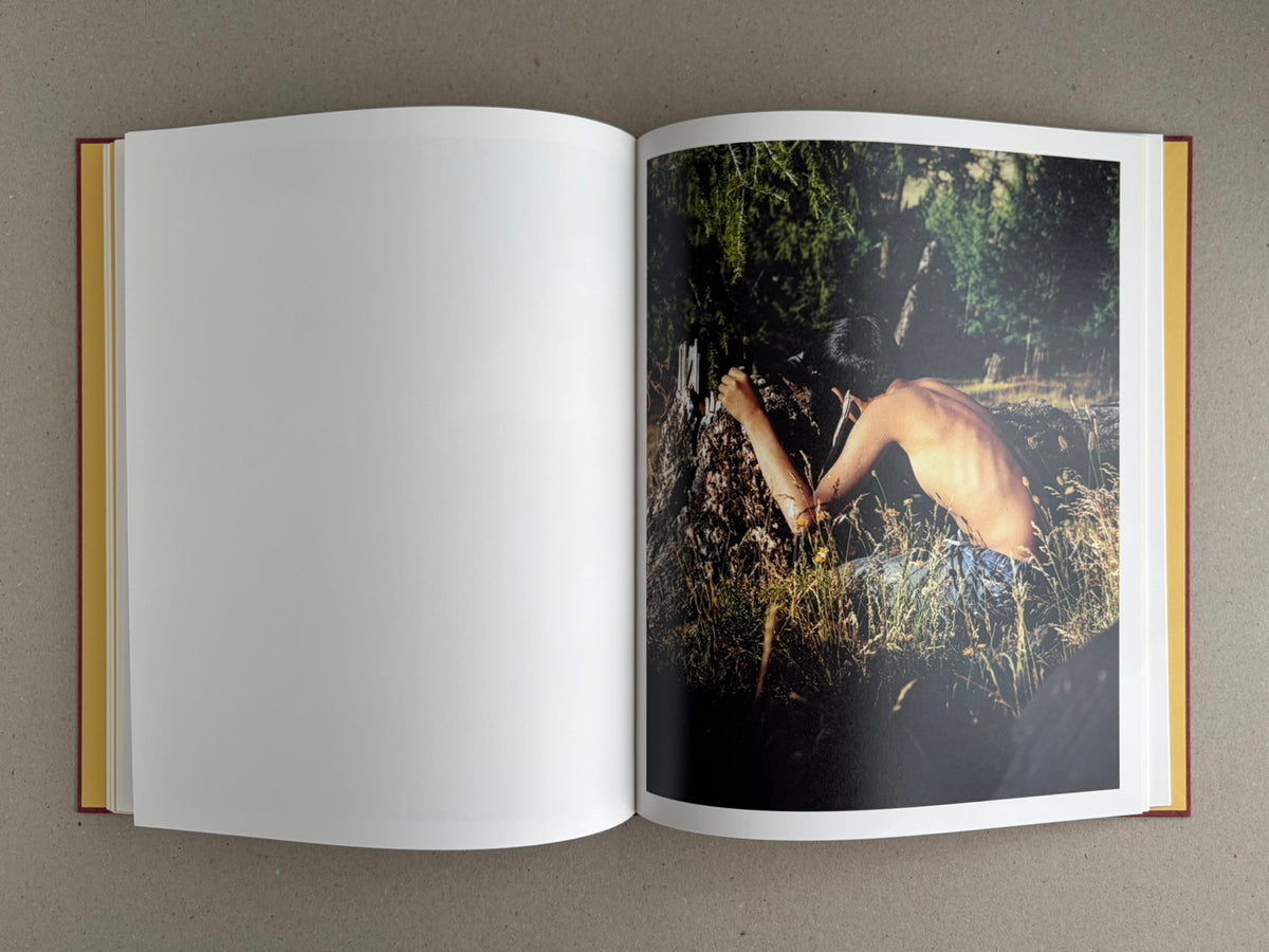 Open spread of süü – Taemin Ha, with a blank left page and a right-page photograph of a shirtless person crouched in tall grass beside a tree in dappled light.