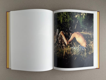 Open spread of süü – Taemin Ha, with a blank left page and a right-page photograph of a shirtless person crouched in tall grass beside a tree in dappled light.