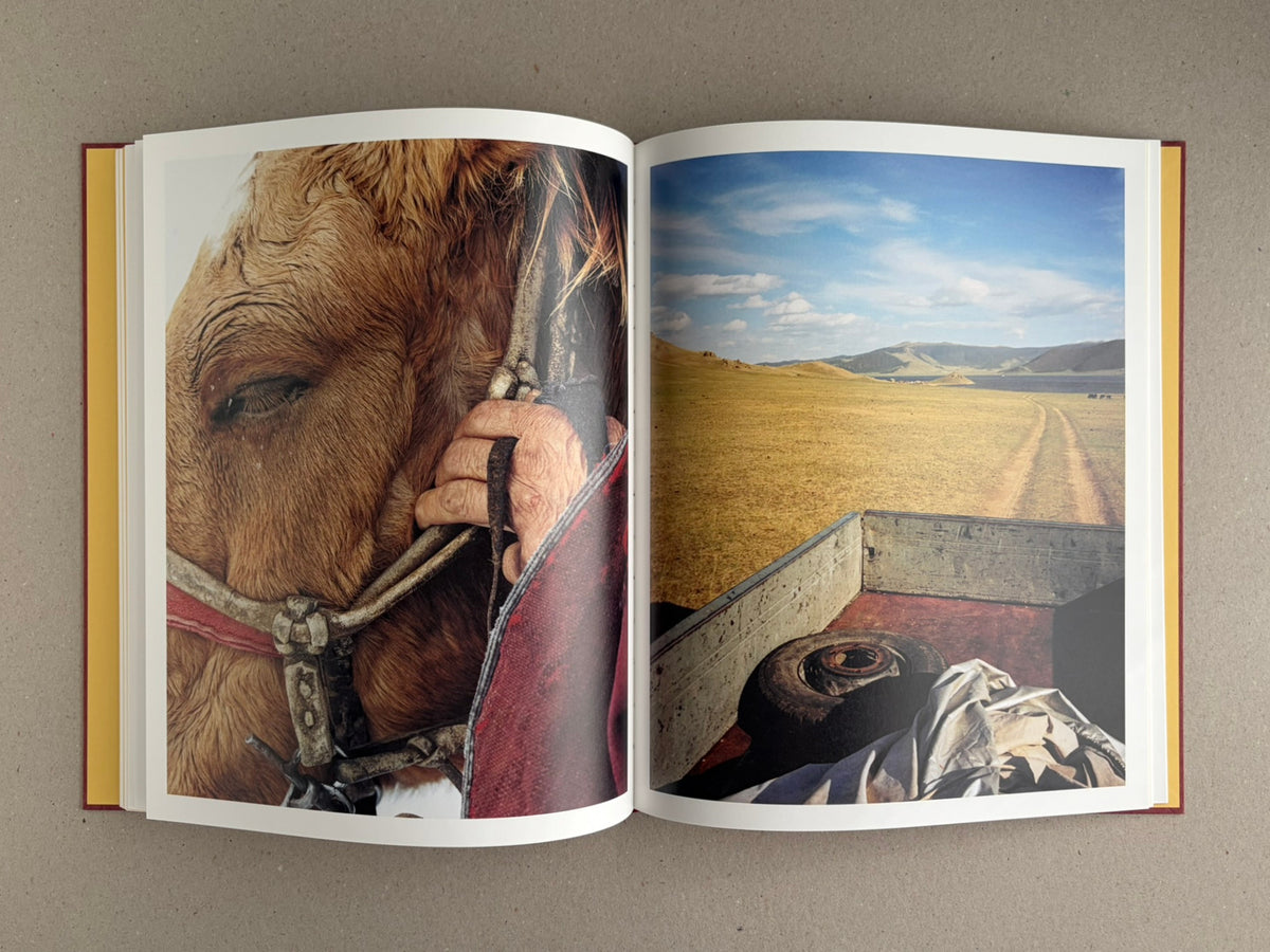 Open spread of süü – Taemin Ha showing a close-up of a horse’s face beside a hand holding its reins, and a rural landscape viewed from the back of a vehicle.