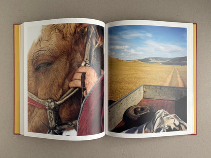 Open spread of süü – Taemin Ha showing a close-up of a horse’s face beside a hand holding its reins, and a rural landscape viewed from the back of a vehicle.