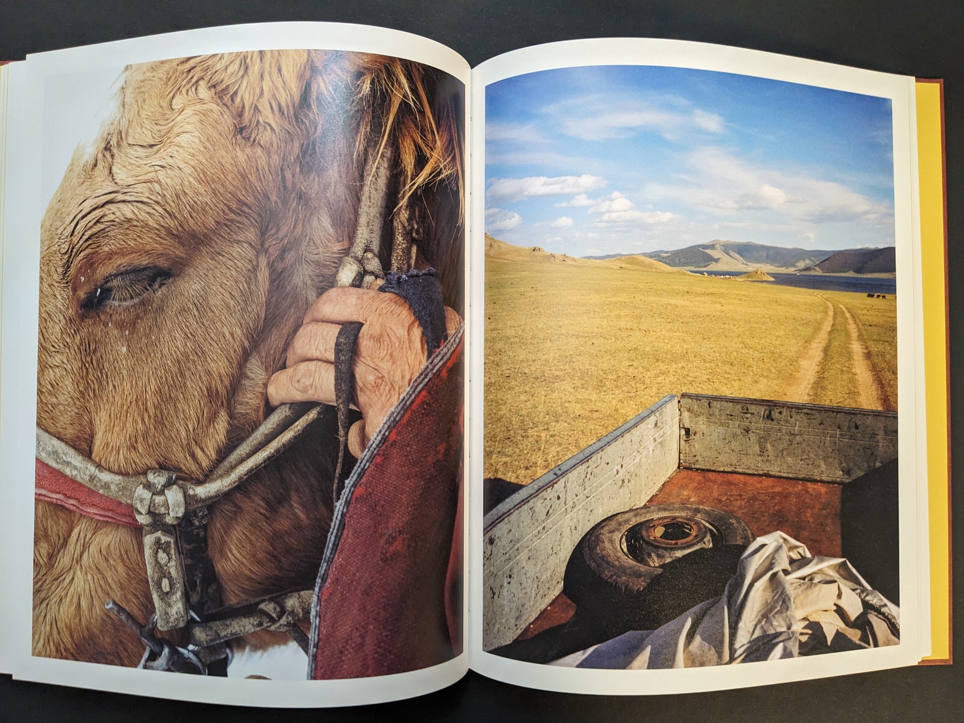 Photobook spread from süü by Taemin Ha pairing a close-up of a horse with a view from the back of a vehicle looking onto an open steppe road and distant hills.