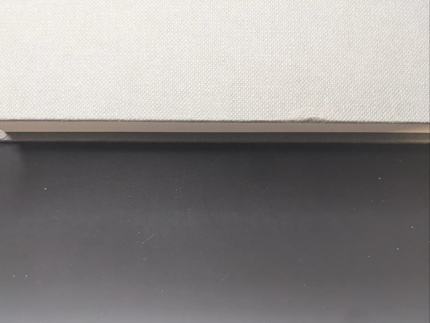 Close-up of the spine of Symphony – mushrooms from the forest by Takashi Homma with minor defect